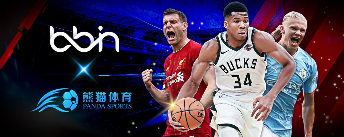 细的大额投
